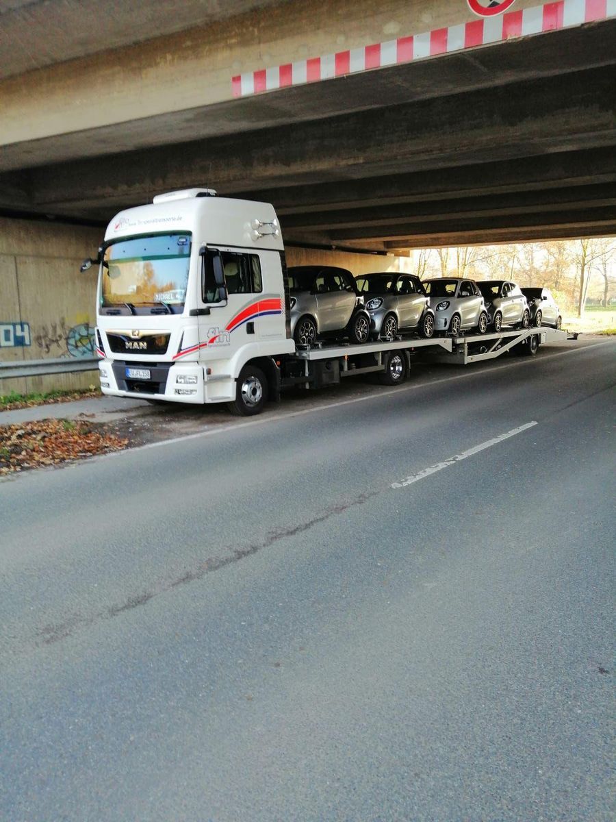 Fahrzeugabbildung MAN TGL 8.250 Standklima/Heizung FS alt 3/C1/E