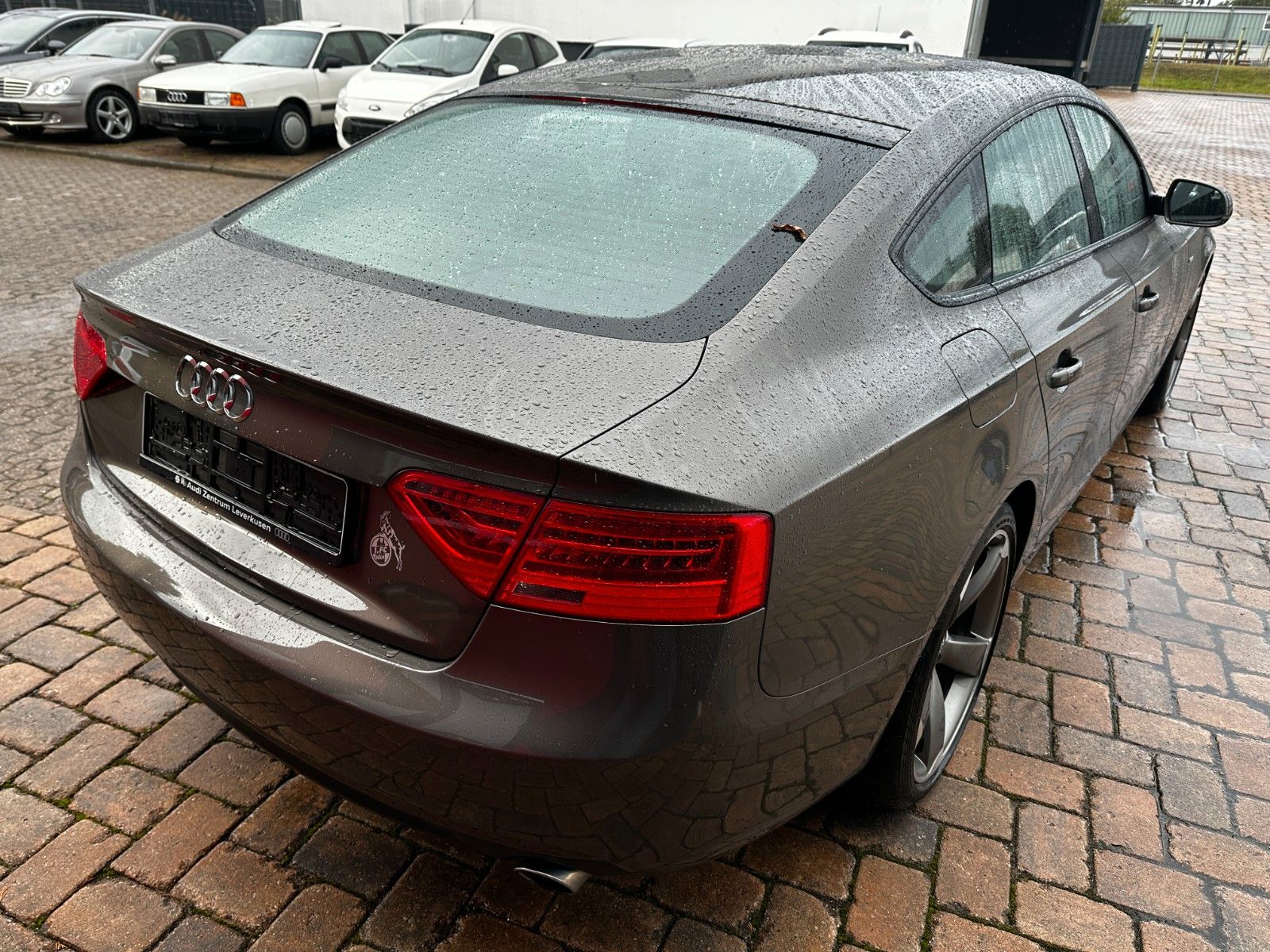 Fahrzeugabbildung Audi A5 3.0 TDI 4x4 3xS Line Sport / Plus SD 8xAlu