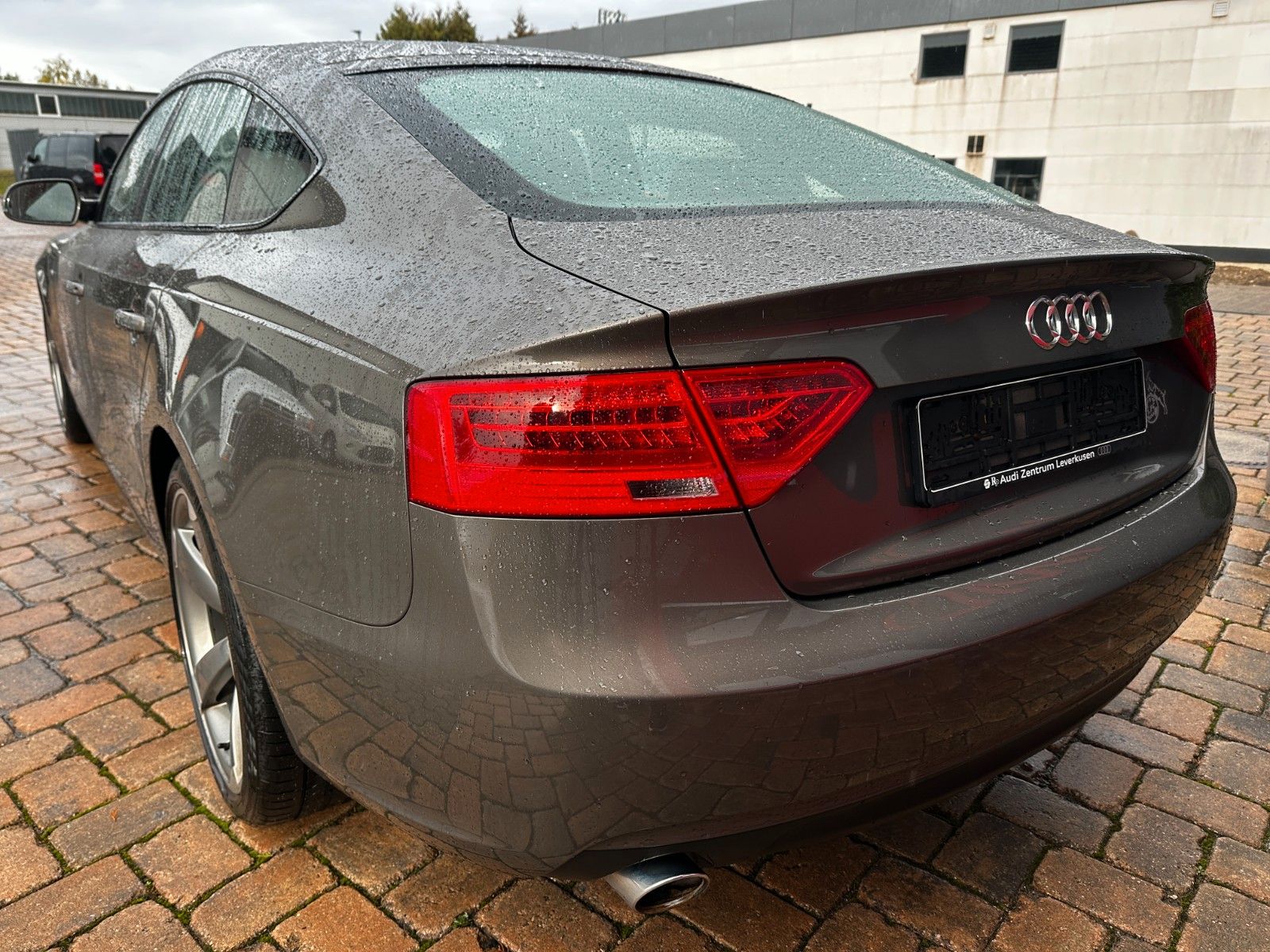 Fahrzeugabbildung Audi A5 3.0 TDI 4x4 3xS Line Sport / Plus SD 8xAlu